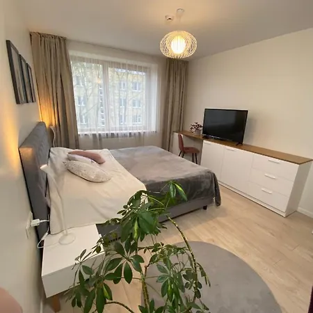 Ausra Apartment Kaunas